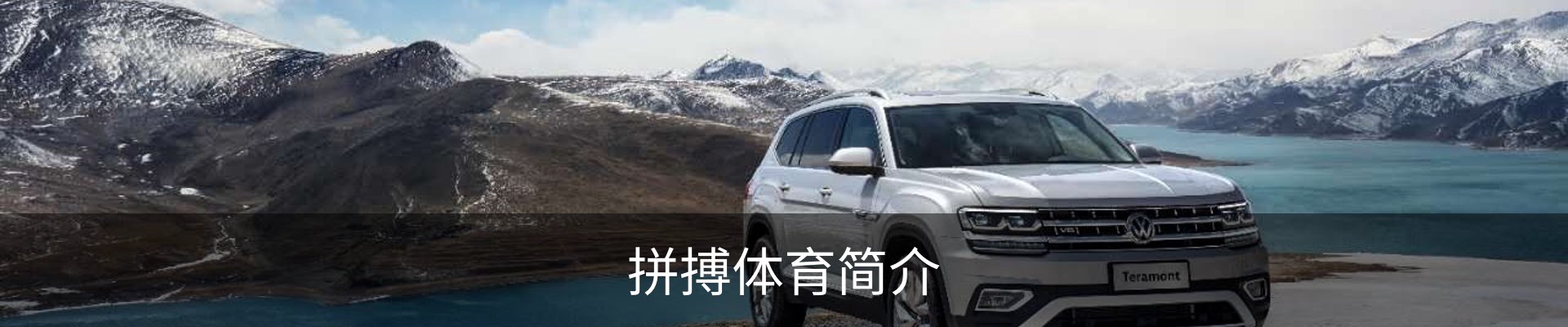 拼搏体育简介